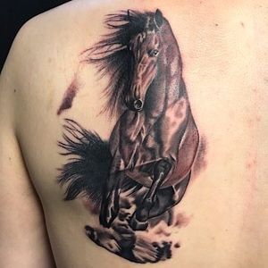 浜松馬tattoo